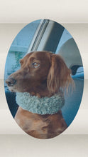 Load image into Gallery viewer, Pooch Neck Warmer
